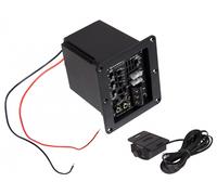 ESX POWER4 Mono Amplificador Clase D Aktiv-Modul 4 Ohm para Bajos Carcasa 460W