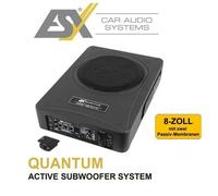 ESX Q208A Activo Subwoofer 20CM (8”) Sistema de Subwoofer Activo 300 Vatios