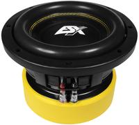 ESX QUANTUM Woofer Subwoofer Bass Tiefton Hifi QE-822
