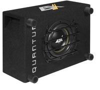 ESX QXB6 16,5 cm (6,5”) Bass Reflex Subwoofer Carcasa Sistema 500 vatios