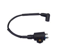 ET950 ET650 IE45 TG950 con bobina de encendido Magneto for generador TIGER 450W 650W 800W 950W 1000W 2 tiempos(1 x Ignition coil)
