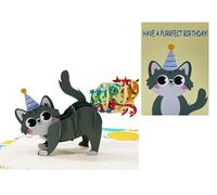 ETA 3D Funny Cat Birthday Pop Up Cards, 3D Animal Pop Up Card for Kids,Girls, Daughters, Niece, Grandchild on Birthday, Have a Purrfect Birthday Card, B27