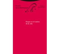 Etapas En El Camino De La Vida