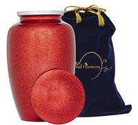 Eternal Harmony Urna grande para cenizas, jarrón de cremación masculino y femenino para cenizas humanas, sellado seguro y bolsa de terciopelo, jarrón funerario para hombres y mujeres de hasta 200