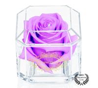 Eternal Petals Una rosa 100% real que dura años, hecha a mano en el Reino Unido, oro solo con un cristal de Swarovski transparente (Lilac)