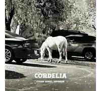 Ethan Daniel Davidson - Blue Arrow