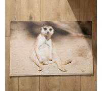 Ethereval Alfombrillas de baño absorbentes divertidas para puerta delantera, diseño de suricata, alfombra de bienvenida para puerta delantera, alfombra de otoño de secado rápido, lavable a máquina