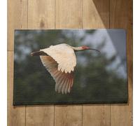 Ethereval Felpudo antideslizante y limpiador de pies para ducha interior, pájaro, tapete extra grande para puerta de entrada al aire libre, 45 x 75 cm