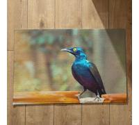 Ethereval Tapete grande para puerta de exterior, tapete japonés para baño, pájaros, paisaje natural, atrapasuciedad, tapete antideslizante y limpiador de pies, para ducha interior, 40 x 60 cm