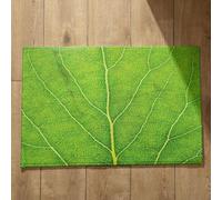 Ethereval Tapetes antideslizantes para interiores, pequeños, lavables a máquina, atrapasuciedades, tapetes lavables para interiores, 50 x 80 cm