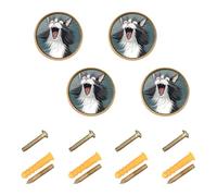 EtherSpher Perillas redondas personalizables con diseño de gato de piel frita blanca con dibujos animados, accesorios bohemios, 1.26 pulgadas (32 mm), pomos vintage para gabinete, paquete de 4