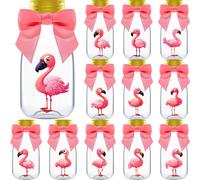 Ethisa Paquete pequeρo de 12 regalos de fiesta de flamencos Tarros de dulces con cintas y pegatinas Botellas de decoraciσn de fiesta para cum