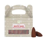 ETHNICITI Satya - Conos de incienso genuinos de reflujo Nag Champa, 24 conos, 1 paquete (salvia blanca)