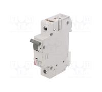 Interruptor de sobrecorriente ETIMAT 6 1p C0,5 002141501