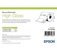 Etiqueta de alto brillo Epson, Etiquetas troqueladas, 102 x 76 mm (415 etiquetas)