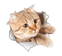 Etiqueta de la pared con diseño de animales, gato valiente del cómic, lindas pegatinas de pared para baños, dormitorios, cocina, sala de estar, decoración de la habitación, duradero, tratamiento
