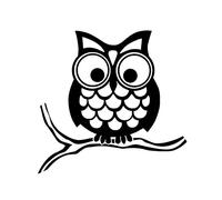 Etiqueta Engomada del Coche del BúHo,Asudaro 2 Piezas BúHo Gracioso Pegatinas Adhesivos Laterales De Vinilo para CarroceríA CalcomaníAs De Bricolaje Adhesivo Lateral De CarroceríA 13,5 Cm X 13 Cm