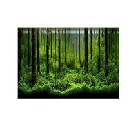 Etiqueta Engomada del Fondo del Acuario, Fish Tank Backdrop PVC Adhesive Underwater Forest Tank Background Poster Backdrop Decoración Papel(61 * 30cm)