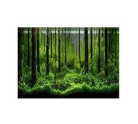 Etiqueta Engomada Fondo Acuario PVC Adhesiva 122x46cm Decoración Tanque Peces Bosque Submarino Ajustable a Diversos Tamaños Fácil Aplicación Sin Residuos Suitable for Acuarios Domésticos Oficinas Cent