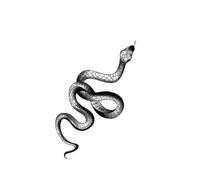 Etiqueta Engomada Temporal Del Tatuaje De La Serpiente, Magia Impermeable Semi Permanente
