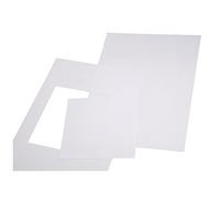 Etiqueta insertable, 110 g DIN A4, H x A 296,5 x 209,3 mm, UE 10 unid.