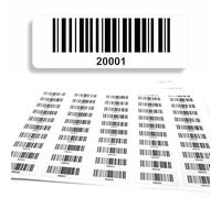 Etiquetas de código de barras 20001-21000 continuas, 5 dígitos, DGUV, 1000 unidades, código de barras eléctricas, código de barras 128, autoadhesivas, 50 x 17 mm (20001-21000)