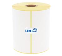 Etiquetas de envío DHL, DPD, Fedex, GLS, Hermes, UPS - 100 x 200 mm - 250 etiquetas de papel Thermo-Eco en 1 rollo(s) con núcleo de 25 mm, etiquetas termodirectas autoadhesivas