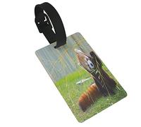 Etiquetas de equipaje de PVC The Panda Red Or Lesser Panda 2 PC, cubierta de privacidad, etiquetas de equipaje de silicona, etiquetas de maleta de viaje, accesorios de viaje