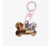 Etiquetas de identificación para mascotas, diseño de ciudad de cuento de hadas, etiquetas personalizadas para perros y gatos, acrílico en forma de hueso, rosa claro, mediano