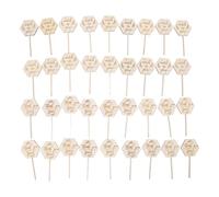 Etiquetas de madera en maceta 3D Watch Me Grow para decoración de macetas, 36 piezas para amantes de las plantas