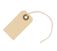 Etiquetas de papel con cuerda adjunta, 7 x 3,5 cm, caja de 100 etiquetas pequeñas de manila en blanco con cuerdas y ojal reforzado