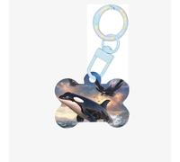 Etiquetas de perro de ballenas y aves de presa para mascotas, etiquetas de identificación acrílicas en forma de hueso, perfectas para perros y gatos pequeños a grandes, lindas y funcionales