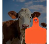 etiquetas para ganado Etiquetas De Oreja Para Ganado En white, 18 Mm, 41 Mm Y 60 Mm De Ancho, Etiquetas De Identificación De Ganado, 100 Unidades Plástico(L W 52mm x 18mm)