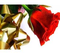 Etja Aceite de onagra BIO 50 ml