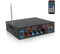 Etlephe Mini amplificador de 800 W Hi-Fi, amplificador estéreo Bluetooth 5.0, 12 V 220 V, radio FM, tarjeta SD portátil, entrada USB, radio FM para casa o coche