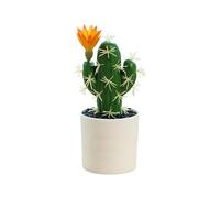 ETUCYNG Plantas de Cactus Artificiales,Cactus Artificial | Planta Artificial en Maceta - Pequeñas suculentas Artificiales para Escritorio de Interior, suculentas Falsas para decoración de Tiendas