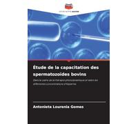 Étude de la capacitation des spermatozoïdes bovins: Dans le cadre de la thérapie photodynamique et selon les différentes concentrations d'héparine