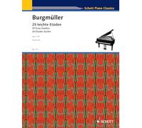 Etudes opus 100 piano: For Piano