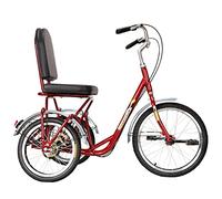 ETUELNOPT Bicicleta Plegable Urbana, Triciclo Adulto Plegable sin Cadena de una Sola Velocidad y 3 Ruedas, Cesta la Compra for Personas Mayores, Multicolor(Red)
