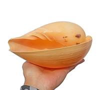ETUELNOPT Decoraciones de Conchas Naturales, Conchas de mar océano Mezclado Grande for Fiesta en la Playa decoración del hogar DIY pecera Varios tamaños(G)