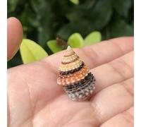 ETUELNOPT Decoraciones de Conchas Naturales, Conchas Marinas mezcladas de la Torre multicolora Playa for joyería Que Hace decoración los jarrones(1.5-2cm)