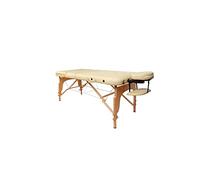 ETZRYSYB Silla plegable de 185 x 70 cm, cama de belleza plegable profesional, portátil, para spa, masaje, plegable, con bolsa, muebles de salón de madera