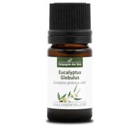 EUCALIPTO BLANCO - 5 mL - Aceite Esencial Orgánico de Calidad Superior - 100% Puro, Natural, Quimiotipado y Certificado AB