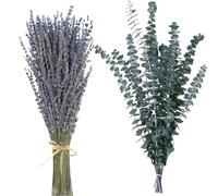 Eucalipto Preservado Secas&Lavanda Seca Flores Secas Naturales Deco DIY Ramo de Flores Secas,Ramo de Hierba de la Pampa Flor de Caña Deco Ideal para Boho Salón Dormitorio.