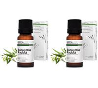 Eucalipto Radiata BIO (Eucalyptus radiata) - 10 mL - Aceite Esencial Quimiotipado y Certificado AB - Salud respiratoria - Aroma Labs (Paquete de 2)
