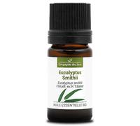 EUCALIPTO SMITHII BIO - 5mL - Huile Essentielle de Qualité Premium - 100% Pure, Naturelle, Intégrale et ChémotypéeI BIO - 5mL