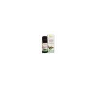 Eucaliptus Radie Aceite Esencial Difusion 10Ml. de Fleurance