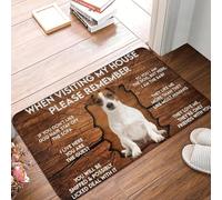 EUEKQOIB Al visitar mi casa Recuerda tu Perro Jack Russell Terrier. Felpudo Antideslizante para baño Cocina Inodoro Puerta Suelo Entrada.