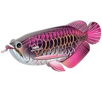 EUGY 118 Pez Malayo Arowana. Eco-Friendly 3D Paper Puzzle para niños y niñas. Edades 6+