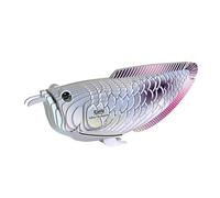 EUGY 124 Arowana Plateada. Eco-Friendly 3D Paper Puzzle para niños y niñas. Edades 6+